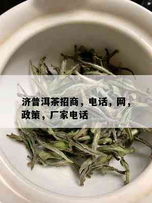 济普洱茶招商，电话，网，政策，厂家电话