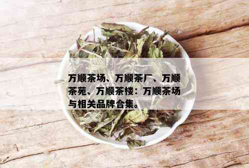 万顺茶场、万顺茶厂、万顺茶苑、万顺茶楼：万顺茶场与相关品牌合集。