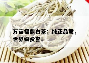 万亩福鼎白茶：纯正品质，世界级赞誉！