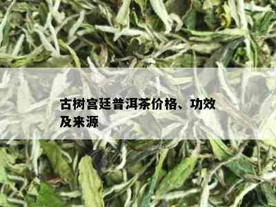 古树宫廷普洱茶价格、功效及来源