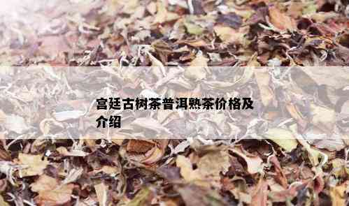 宫廷古树茶普洱熟茶价格及介绍