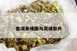 普洱茶魂图与灵魂影片