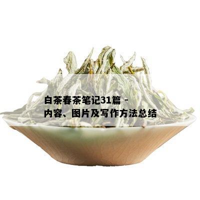 白茶春茶笔记31篇 - 内容、图片及写作方法总结