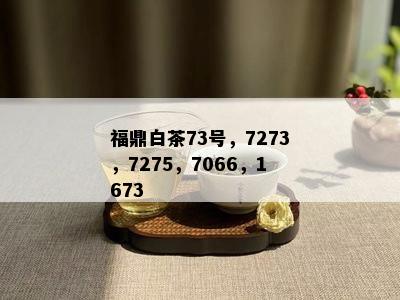 福鼎白茶73号，7273，7275，7066，1673