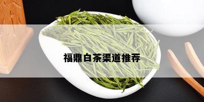 福鼎白茶渠道推荐