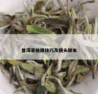 普洱茶拍摄技巧及镜头脚本