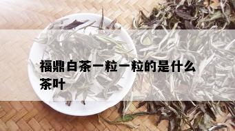 福鼎白茶一粒一粒的是什么茶叶