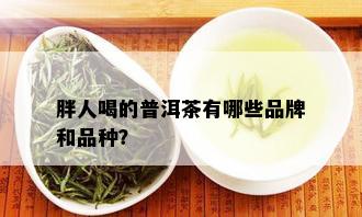 胖人喝的普洱茶有哪些品牌和品种？