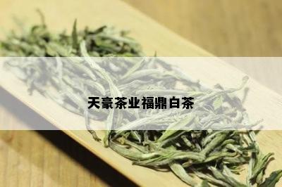 天豪茶业福鼎白茶