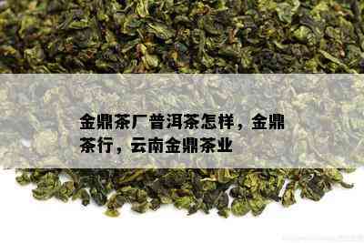 金鼎茶厂普洱茶怎样，金鼎茶行，云南金鼎茶业