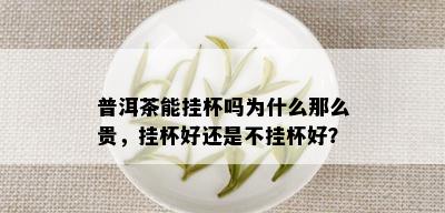 普洱茶能挂杯吗为什么那么贵，挂杯好还是不挂杯好？