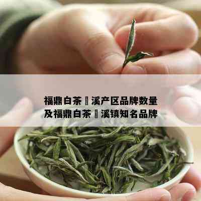 福鼎白茶磻溪产区品牌数量及福鼎白茶磻溪镇知名品牌