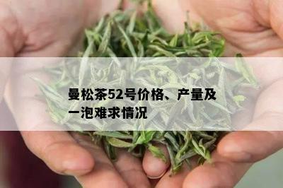 曼松茶52号价格、产量及一泡难求情况