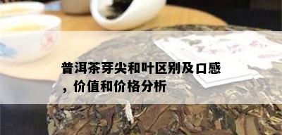 普洱茶芽尖和叶区别及口感，价值和价格分析