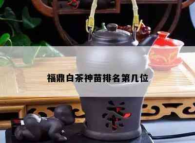 福鼎白茶神苗排名第几位