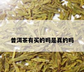 普洱茶有买的吗是真的吗