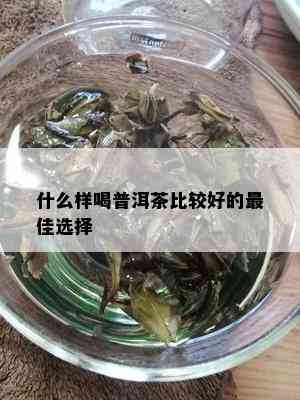 什么样喝普洱茶比较好的更佳选择