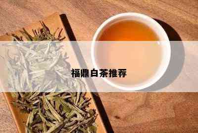 福鼎白茶推荐