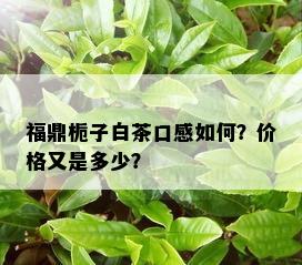 福鼎栀子白茶口感如何？价格又是多少？