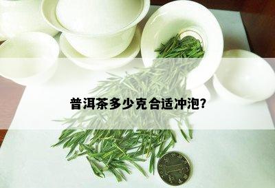 普洱茶多少克合适冲泡？