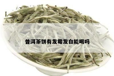 普洱茶饼有发霉发白能喝吗