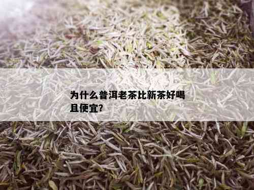 为什么普洱老茶比新茶好喝且便宜？