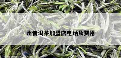 州普洱茶加盟店电话及费用