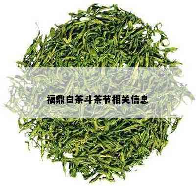 福鼎白茶斗茶节相关信息