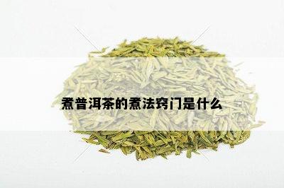 煮普洱茶的煮法窍门是什么