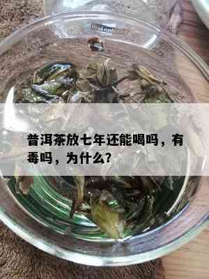 普洱茶放七年还能喝吗，有吗，为什么？