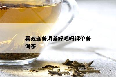 喜双逢普洱茶好喝吗评价普洱茶