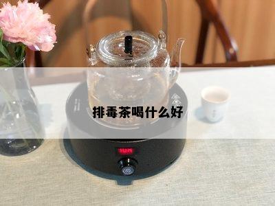 排茶喝什么好