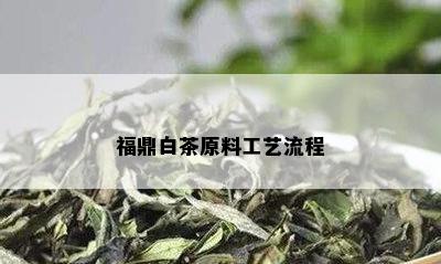 福鼎白茶原料工艺流程