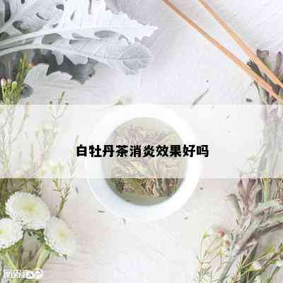 白牡丹茶消炎效果好吗