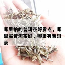 哪里拍的普洱茶好看点，哪里买普洱茶好，哪里有普洱茶