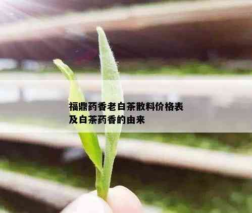 福鼎药香老白茶散料价格表及白茶药香的由来