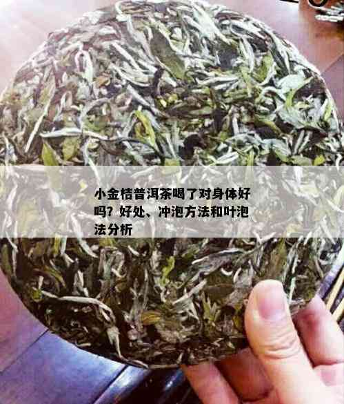 小金桔普洱茶喝了对身体好吗？好处、冲泡方法和叶泡法分析