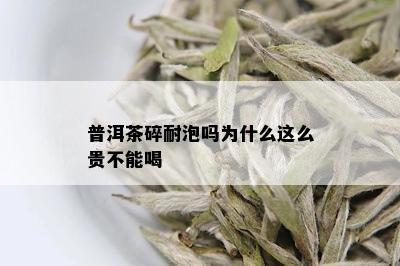 普洱茶碎耐泡吗为什么这么贵不能喝