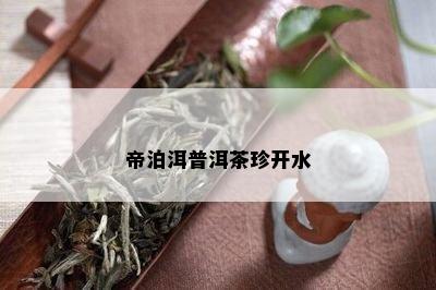 帝泊洱普洱茶珍开水