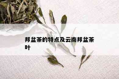 邦盆茶的特点及云南邦盆茶叶