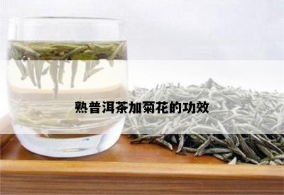 熟普洱茶加菊花的功效