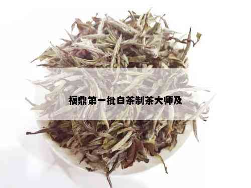 福鼎之一批白茶制茶大师及