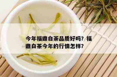 今年福鼎白茶品质好吗？福鼎白茶今年的行情怎样？