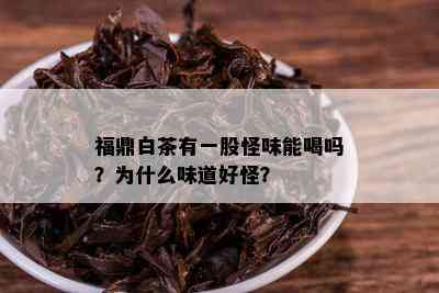 福鼎白茶有一股怪味能喝吗？为什么味道好怪？