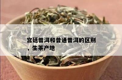 宫廷普洱和普通普洱的区别，生茶产地