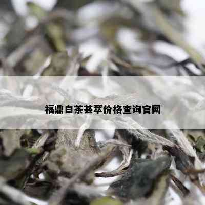 福鼎白茶荟萃价格查询官网