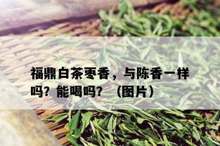 福鼎白茶枣香，与陈香一样吗？能喝吗？（图片）