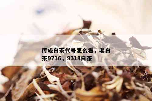 传成白茶代号怎么看，老白茶9716，9318白茶