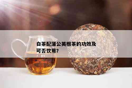 白茶配蒲公英根茶的功效及可否饮用？