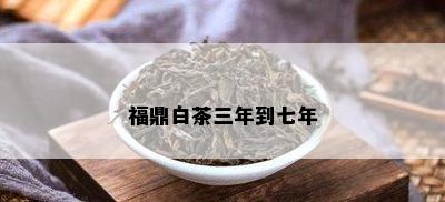 福鼎白茶三年到七年